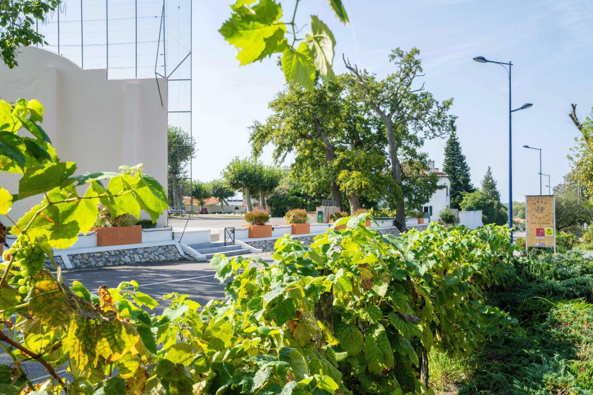 Logis Hotels Gnac E Pause Saint-Lon-Les-Mines Екстериор снимка